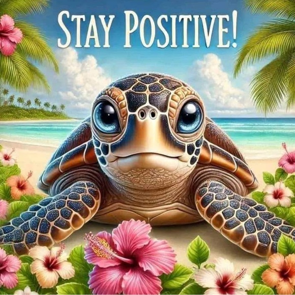 Meet your Posher, Reese - Picture 6 of 8